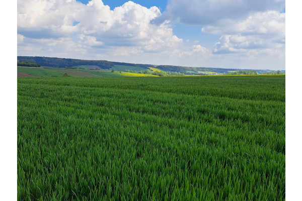 krakowski, Skała, Przybysławice, Piękna działka 18 km od Krakowa. Przybysławice, gmina Skała.