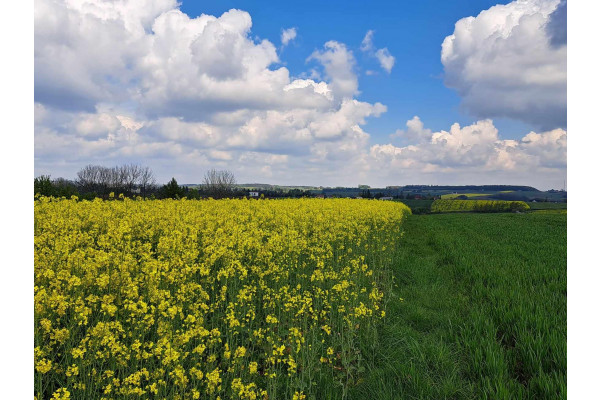 krakowski, Skała, Przybysławice, Piękna działka 18 km od Krakowa. Przybysławice, gmina Skała.